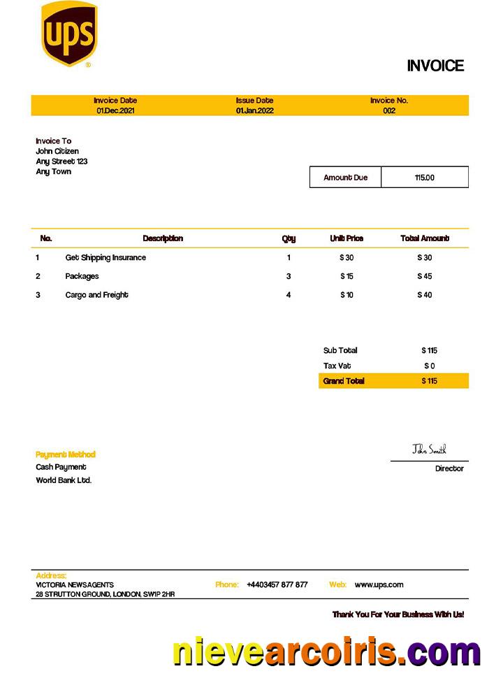 USA UPS invoice